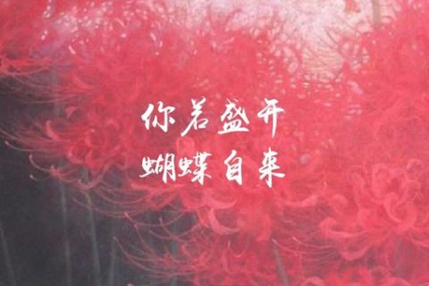 唯美小清新风格的图片带字，图和字一样都很美