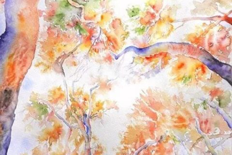 插画师Cristina Dalla Valentin色彩斑斓的树林水彩画欣赏