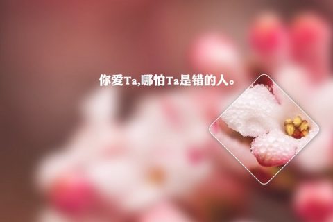 温暖的小清新文字图片融化你的心