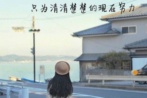 关于努力与选择的正能量小清新文字