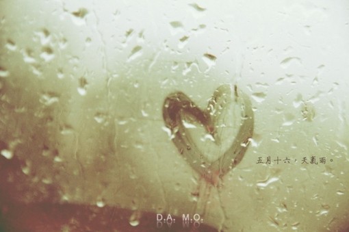 damo原创日系风格静物风光摄影作品