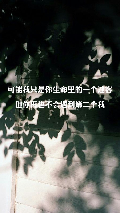 小清新风格图片带字