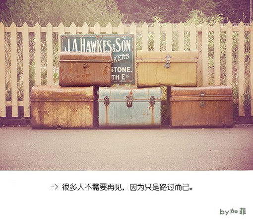 爱情小清新句子配图