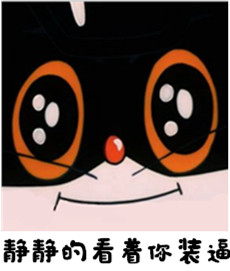 黑猫警长逗比聊天表情图片素材