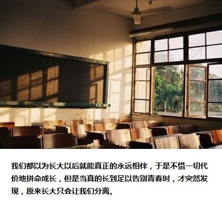 关于毕业与怀念学校的小清新文字