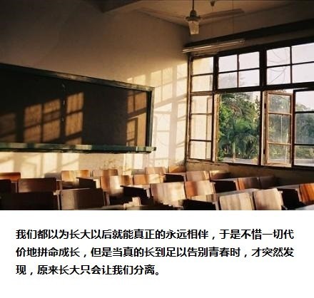 关于毕业与怀念学校的小清新文字